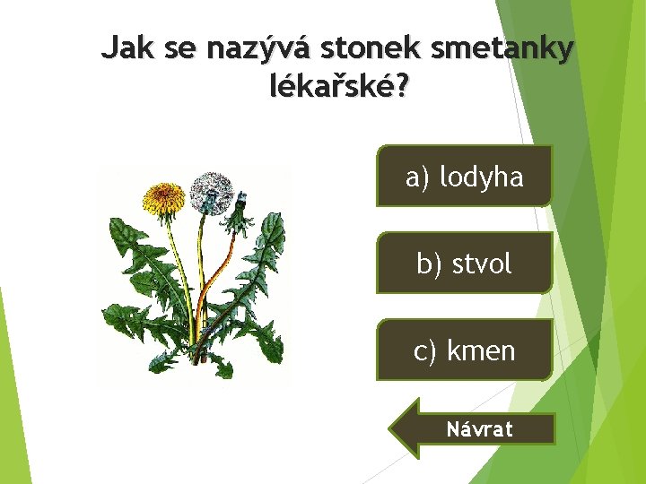 Jak se nazývá stonek smetanky lékařské? a) lodyha b) stvol c) kmen Návrat Jak se nazývá stonek smetanky lékařské? a) lodyha b) stvol c) kmen Návrat