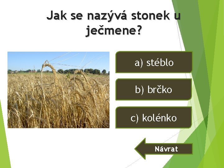 Jak se nazývá stonek u ječmene? a) stéblo b) brčko c) kolénko Návrat Jak se nazývá stonek u ječmene? a) stéblo b) brčko c) kolénko Návrat