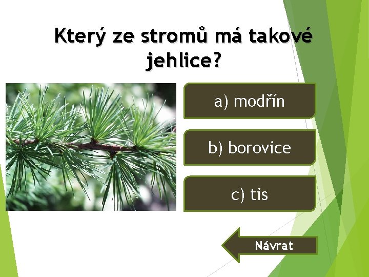 Který ze stromů má takové jehlice? a) modřín b) borovice c) tis Návrat Který ze stromů má takové jehlice? a) modřín b) borovice c) tis Návrat