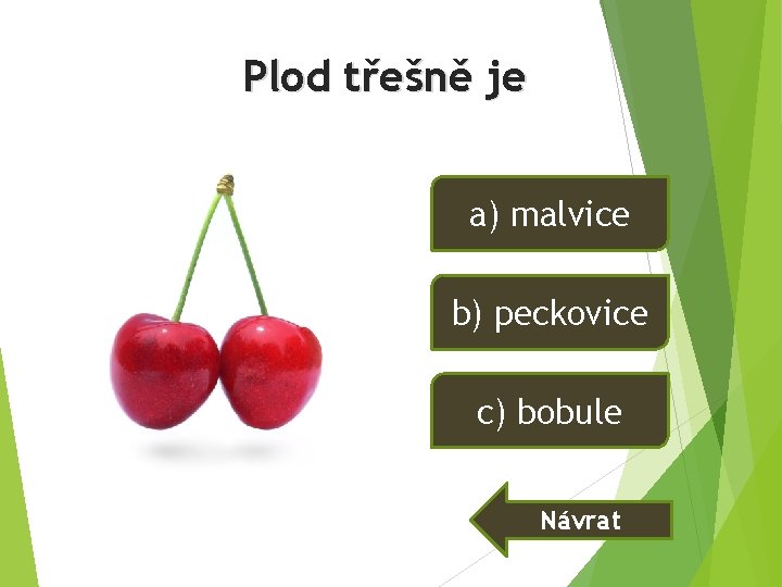 Plod třešně je a) malvice b) peckovice c) bobule Návrat Plod třešně je a) malvice b) peckovice c) bobule Návrat