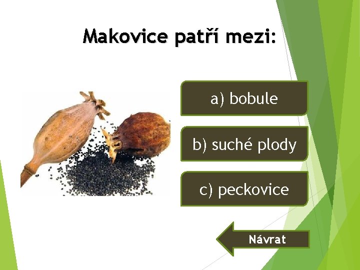 Makovice patří mezi: a) bobule b) suché plody c) peckovice Návrat Makovice patří mezi: a) bobule b) suché plody c) peckovice Návrat