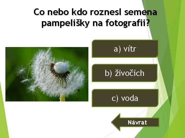 Co nebo kdo roznesl semena pampelišky na fotografii? a) vítr b) živočich c) voda Co nebo kdo roznesl semena pampelišky na fotografii? a) vítr b) živočich c) voda
