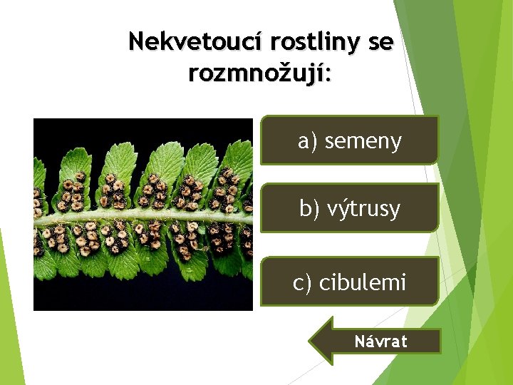Nekvetoucí rostliny se rozmnožují: a) semeny b) výtrusy c) cibulemi Návrat Nekvetoucí rostliny se rozmnožují: a) semeny b) výtrusy c) cibulemi Návrat