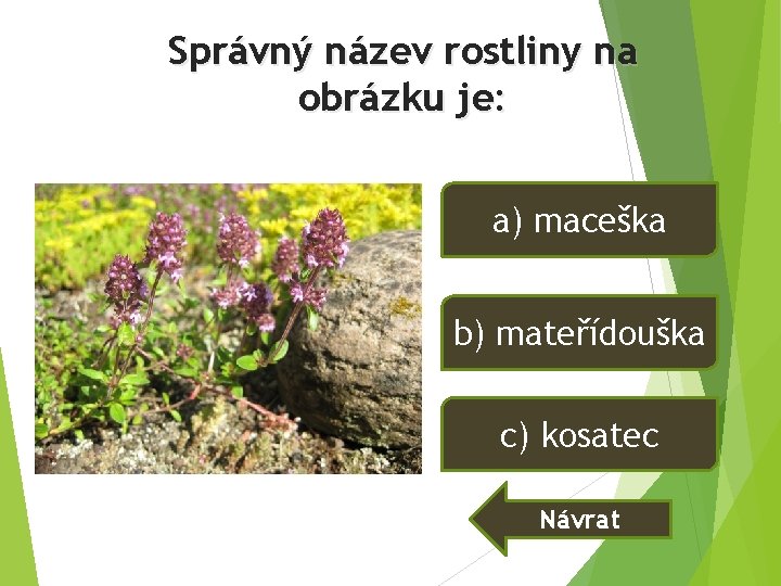 Správný název rostliny na obrázku je: a) maceška b) mateřídouška c) kosatec Návrat Správný název rostliny na obrázku je: a) maceška b) mateřídouška c) kosatec Návrat