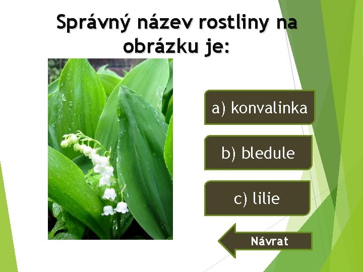 Správný název rostliny na obrázku je: a) konvalinka b) bledule c) lilie Návrat Správný název rostliny na obrázku je: a) konvalinka b) bledule c) lilie Návrat