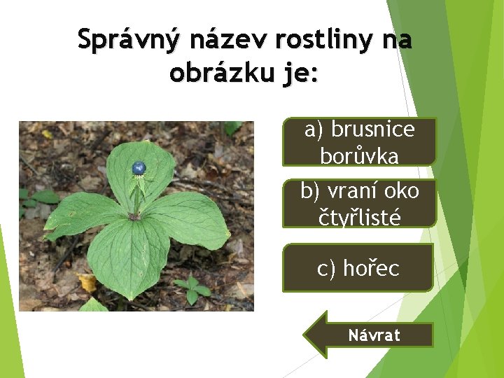 Správný název rostliny na obrázku je: a) brusnice borůvka b) vraní oko čtyřlisté c) Správný název rostliny na obrázku je: a) brusnice borůvka b) vraní oko čtyřlisté c)
