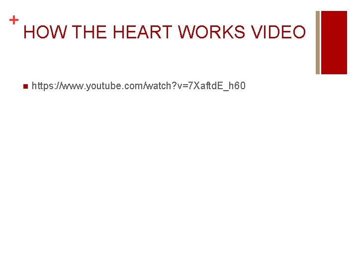 + HOW THE HEART WORKS VIDEO n https: //www. youtube. com/watch? v=7 Xaftd. E_h