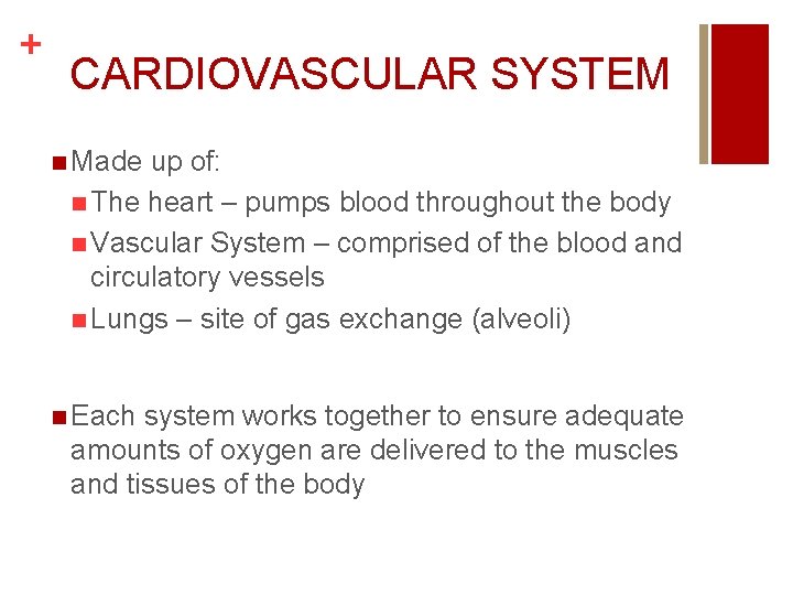 + CARDIOVASCULAR SYSTEM n Made up of: n The heart – pumps blood throughout
