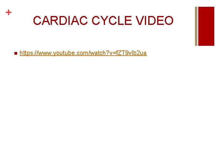 + CARDIAC CYCLE VIDEO n https: //www. youtube. com/watch? v=f. ZT 9 vlb 2