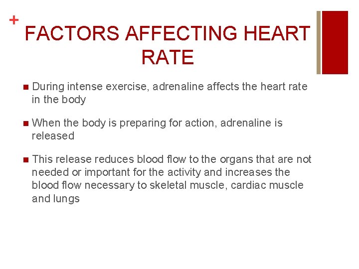 + FACTORS AFFECTING HEART RATE n During intense exercise, adrenaline affects the heart rate + FACTORS AFFECTING HEART RATE n During intense exercise, adrenaline affects the heart rate