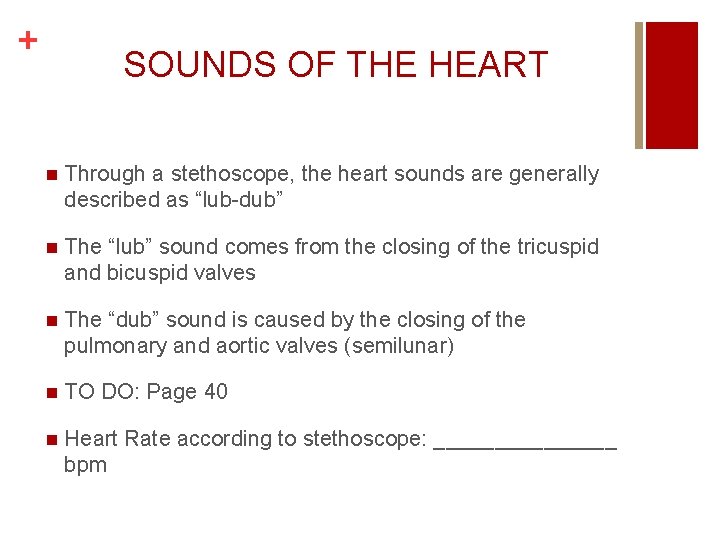 + SOUNDS OF THE HEART n Through a stethoscope, the heart sounds are generally