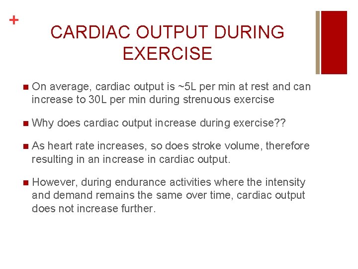 + CARDIAC OUTPUT DURING EXERCISE n On average, cardiac output is ~5 L per + CARDIAC OUTPUT DURING EXERCISE n On average, cardiac output is ~5 L per