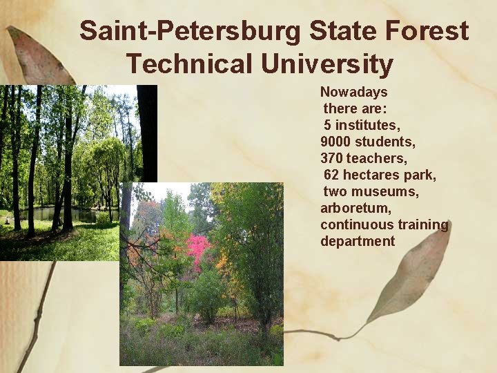 Saint-Petersburg State Forest Technical University Nowadays there are: 5 institutes, 9000 students, 370 teachers,