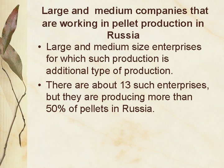 Large and medium companies that are working in pellet production in Russia • Large
