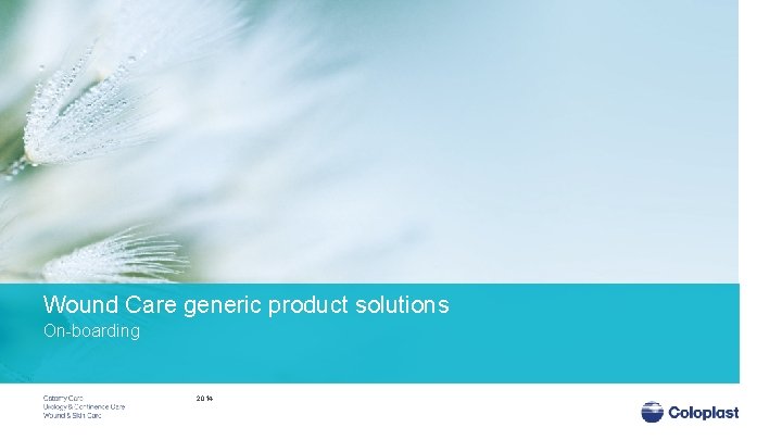 Wound Care generic product solutions On-boarding 2014 