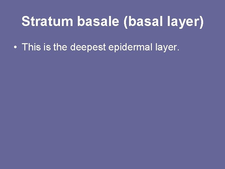 Stratum basale (basal layer) • This is the deepest epidermal layer. Stratum basale (basal layer) • This is the deepest epidermal layer.