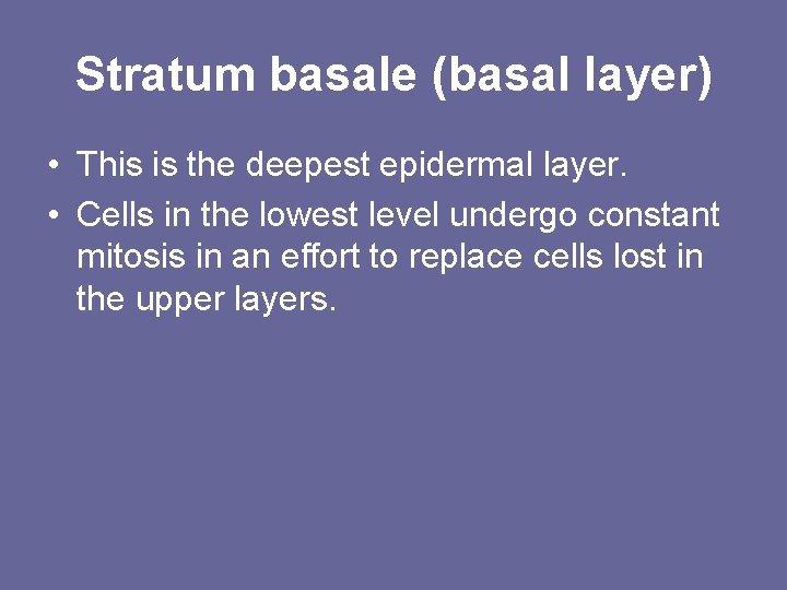 Stratum basale (basal layer) • This is the deepest epidermal layer. • Cells in Stratum basale (basal layer) • This is the deepest epidermal layer. • Cells in