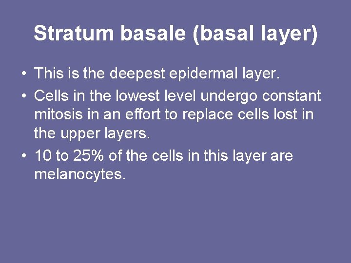 Stratum basale (basal layer) • This is the deepest epidermal layer. • Cells in