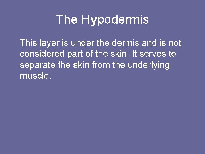 The Hypodermis This layer is under the dermis and is not considered part of