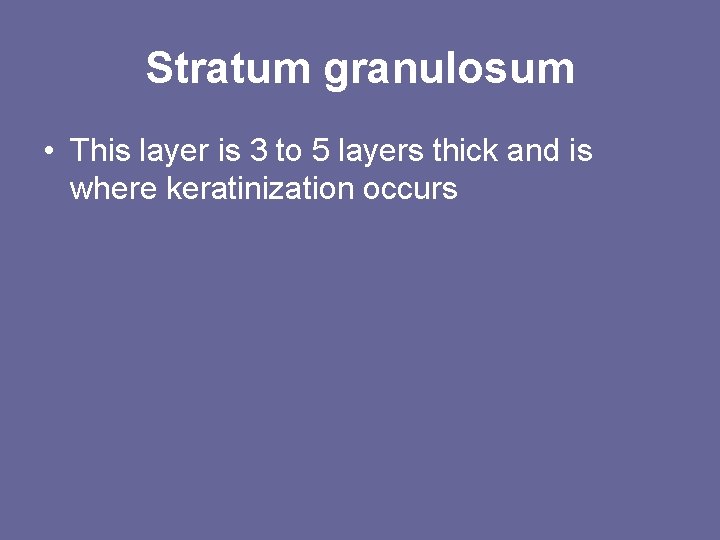 Stratum granulosum • This layer is 3 to 5 layers thick and is where