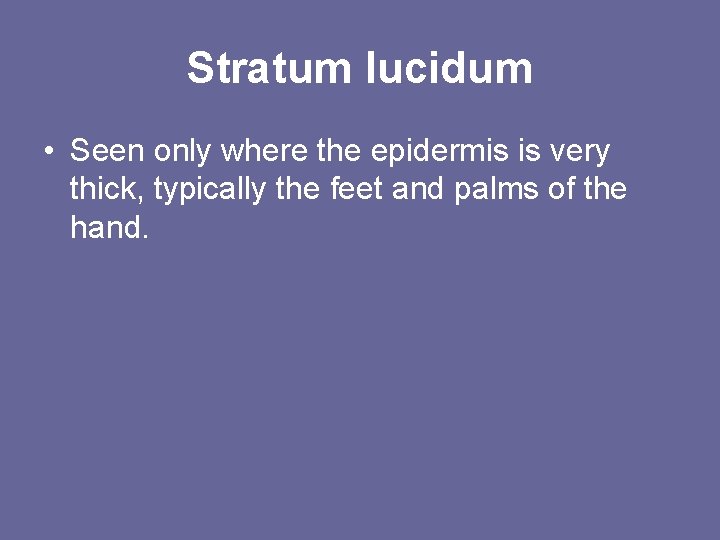 Stratum lucidum • Seen only where the epidermis is very thick, typically the feet