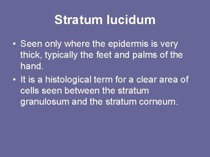 Stratum lucidum • Seen only where the epidermis is very thick, typically the feet Stratum lucidum • Seen only where the epidermis is very thick, typically the feet