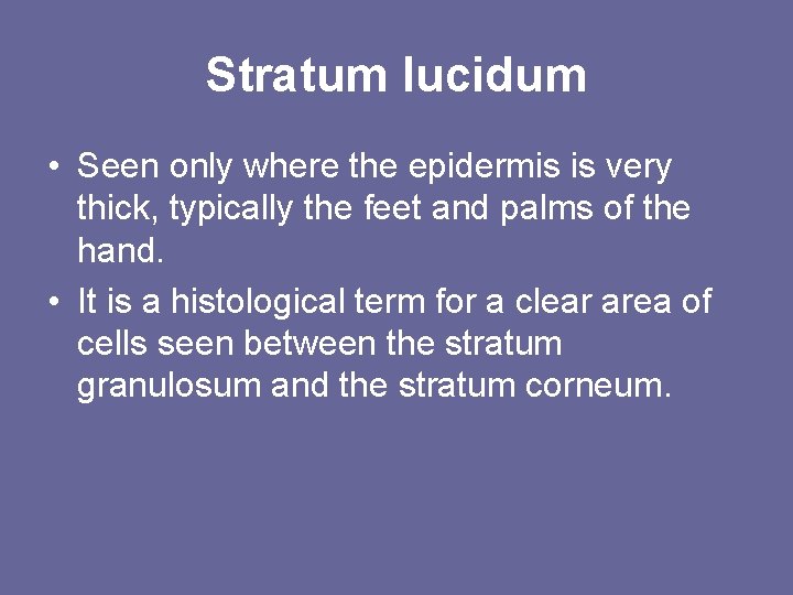 Stratum lucidum • Seen only where the epidermis is very thick, typically the feet