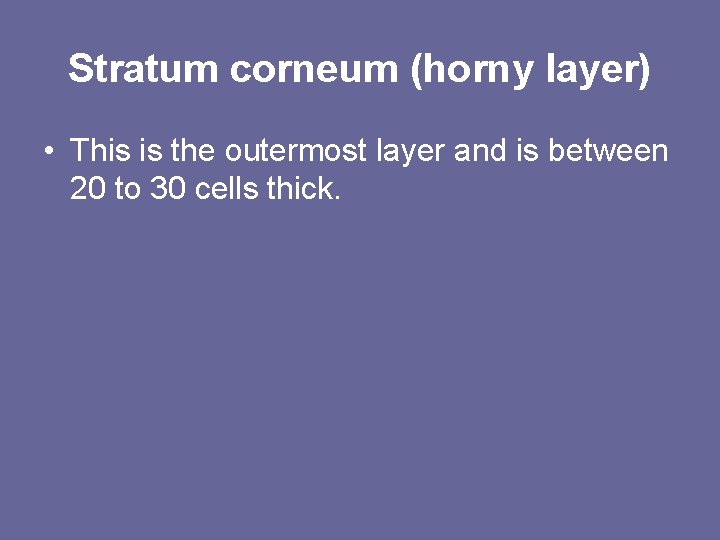 Stratum corneum (horny layer) • This is the outermost layer and is between 20