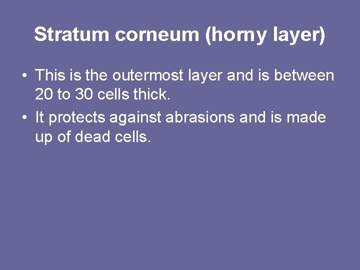 Stratum corneum (horny layer) • This is the outermost layer and is between 20