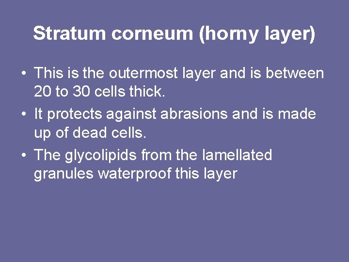 Stratum corneum (horny layer) • This is the outermost layer and is between 20