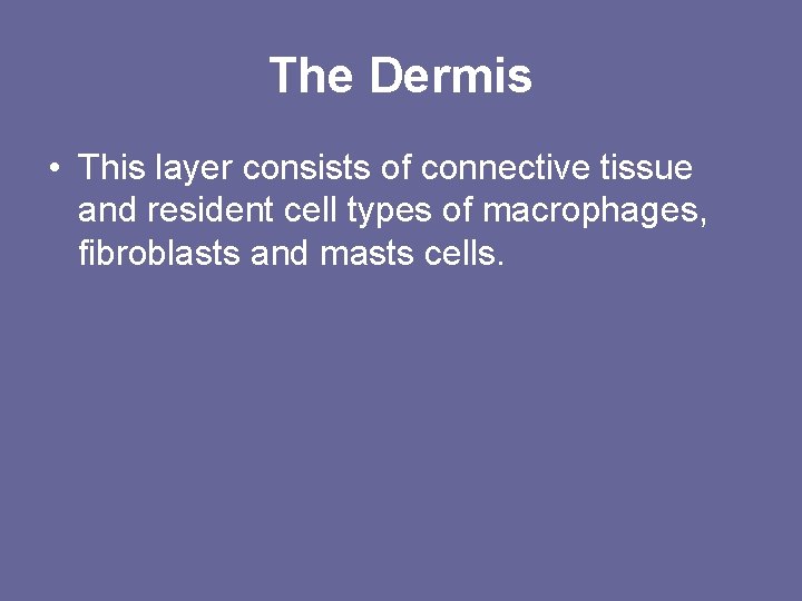 The Dermis • This layer consists of connective tissue and resident cell types of The Dermis • This layer consists of connective tissue and resident cell types of