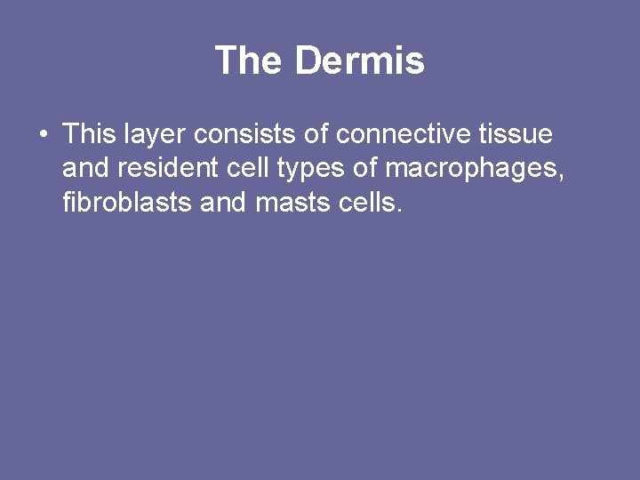 The Dermis • This layer consists of connective tissue and resident cell types of