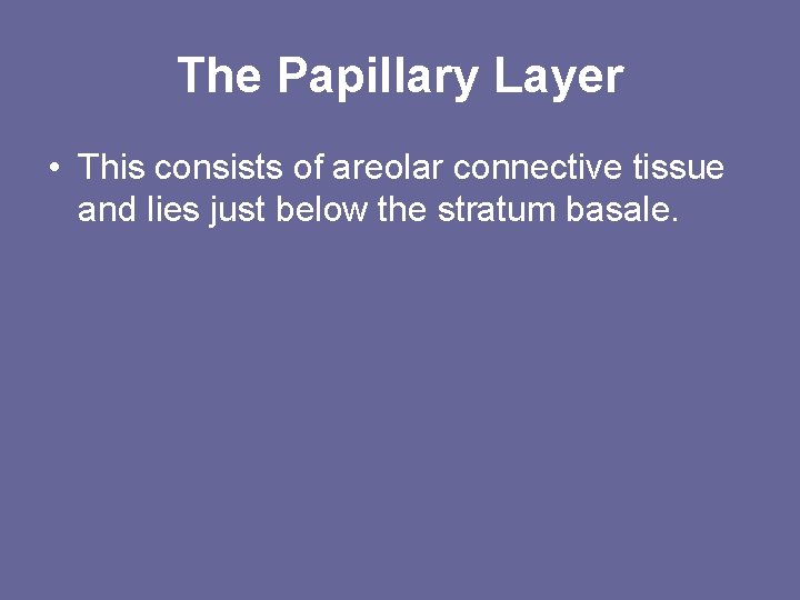 The Papillary Layer • This consists of areolar connective tissue and lies just below The Papillary Layer • This consists of areolar connective tissue and lies just below