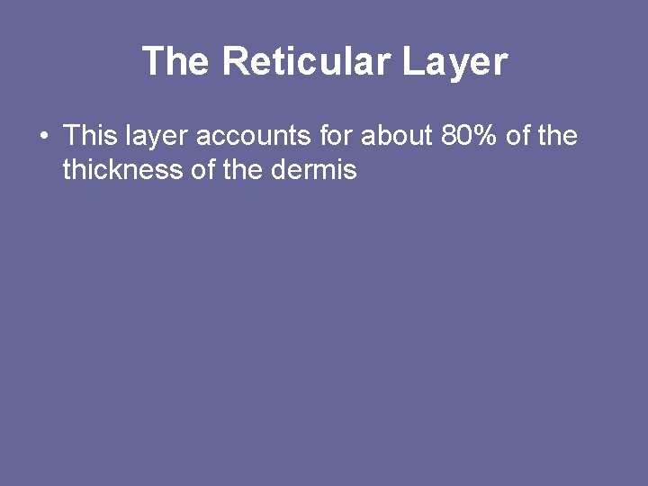 The Reticular Layer • This layer accounts for about 80% of the thickness of