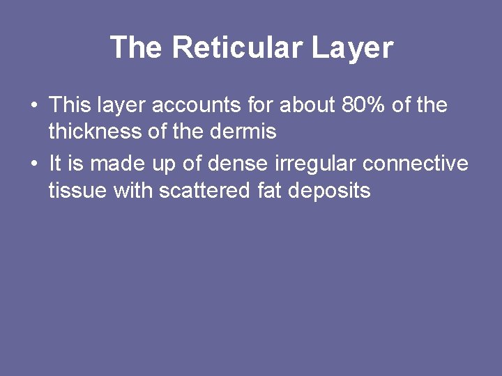 The Reticular Layer • This layer accounts for about 80% of the thickness of