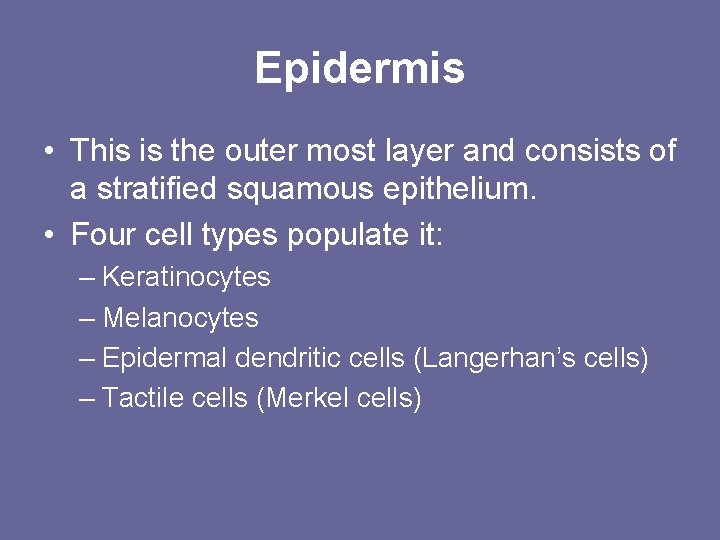 Epidermis • This is the outer most layer and consists of a stratified squamous