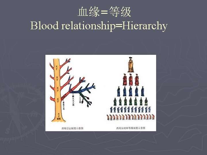 血缘=等级 Blood relationship=Hierarchy 