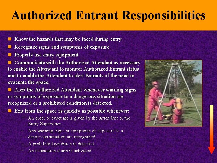 Authorized Entrant Responsibilities n Know the hazards that may be faced during entry. n