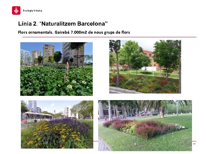 Ecologia Urbana Flors ornamentals. Gairebé 7. 000 m 2 de nous grups de flors