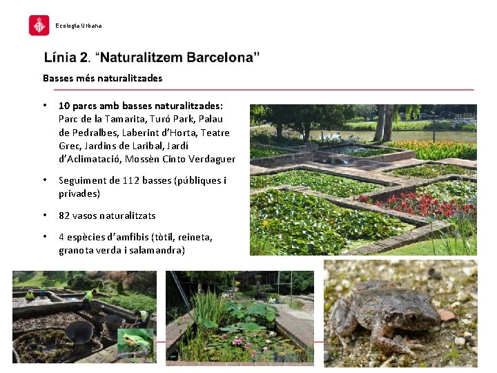 Ecologia Urbana Basses més naturalitzades • 10 parcs amb basses naturalitzades: Parc de la