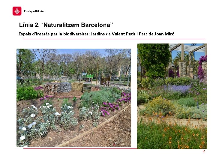 Ecologia Urbana Espais d’interès per la biodiversitat: Jardins de Valent Petit i Parc de