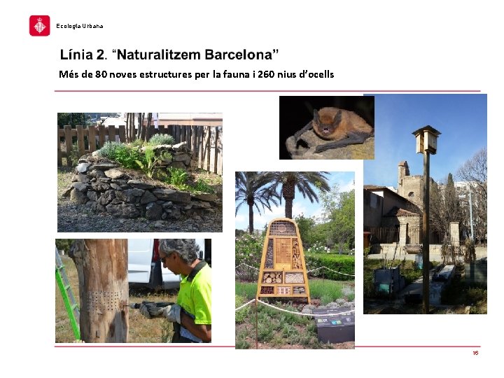 Ecologia Urbana Més de 80 noves estructures per la fauna i 260 nius d’ocells