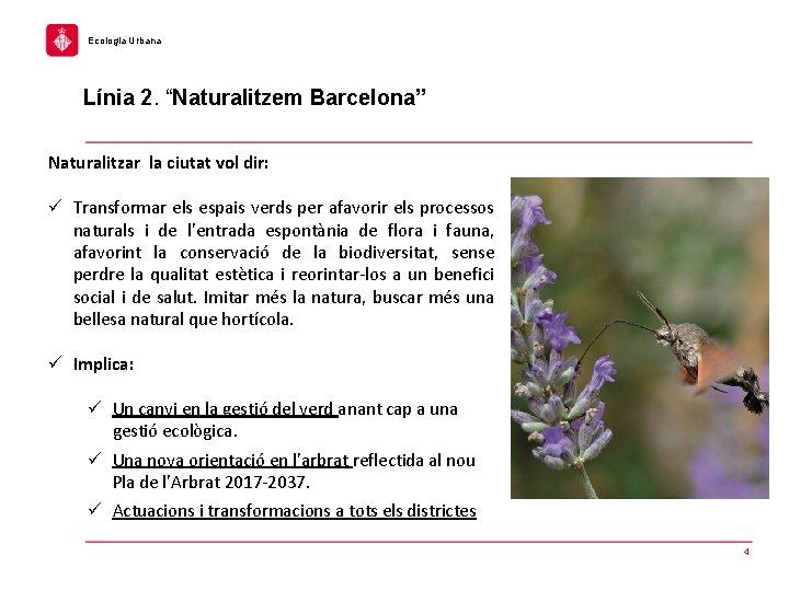 Ecologia Urbana Línia 2. “Naturalitzem Barcelona” Naturalitzar la ciutat vol dir: ü Transformar els