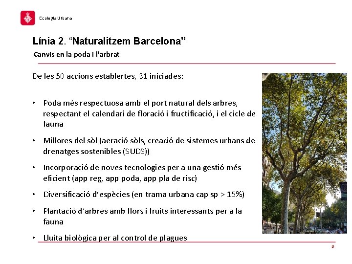 Ecologia Urbana Línia 2. “Naturalitzem Barcelona” Canvis en la poda i l’arbrat De les