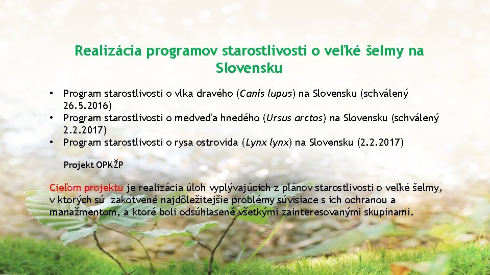 Realizácia programov starostlivosti o veľké šelmy na Slovensku • Program starostlivosti o vlka dravého