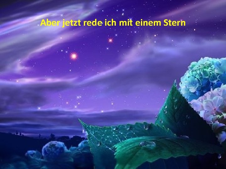 Aber jetzt rede ich mit einem Stern 