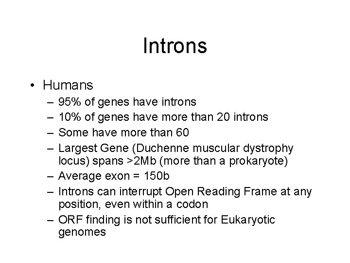 Introns • Humans – – 95% of genes have introns 10% of genes have
