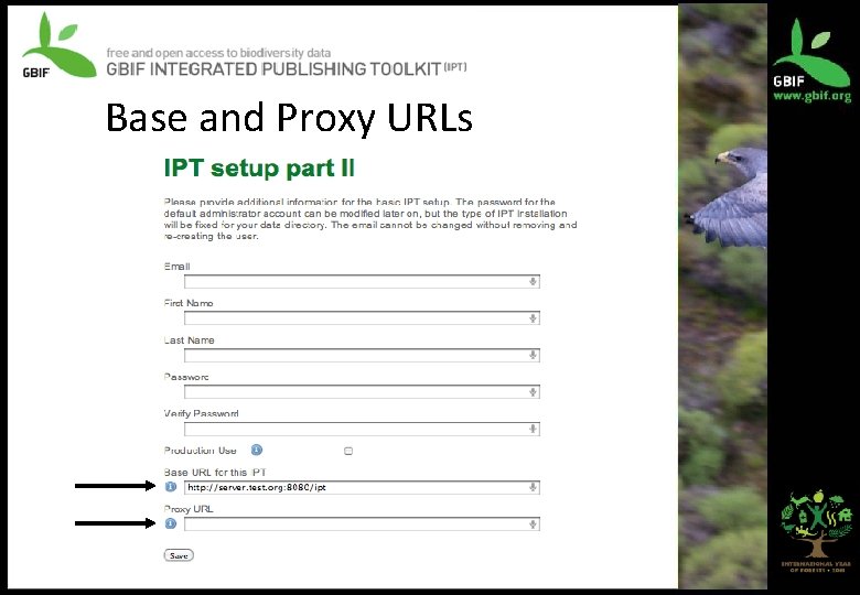 Base and Proxy URLs 