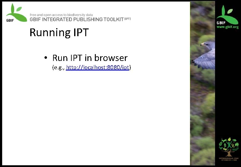 Running IPT • Run IPT in browser (e. g. , http: //localhost: 8080/ipt) 