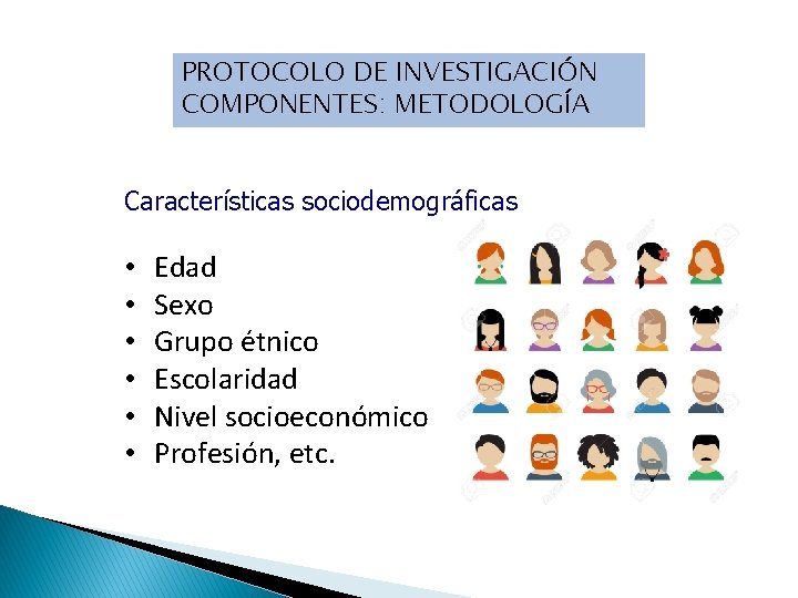 PROTOCOLO DE INVESTIGACIÓN COMPONENTES: METODOLOGÍA Características sociodemográficas • • • Edad Sexo Grupo étnico